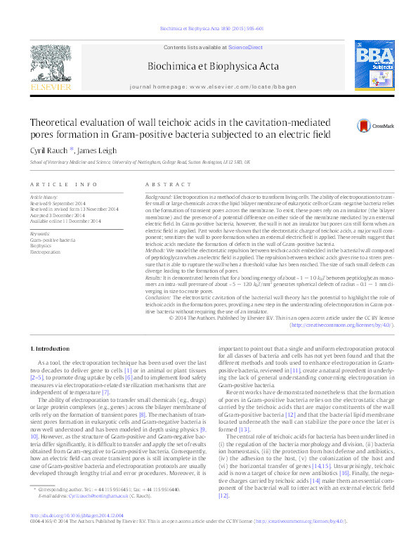 Theoretical evaluation of wall teichoic acids in the cavitation-mediated pores formation in Gram-positive bacteria subjected to an electric field Thumbnail