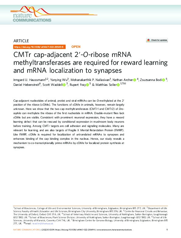 CMTr cap-adjacent 2′-O-ribose mRNA methyltransferases are required for reward learning and mRNA localization to synapses Thumbnail