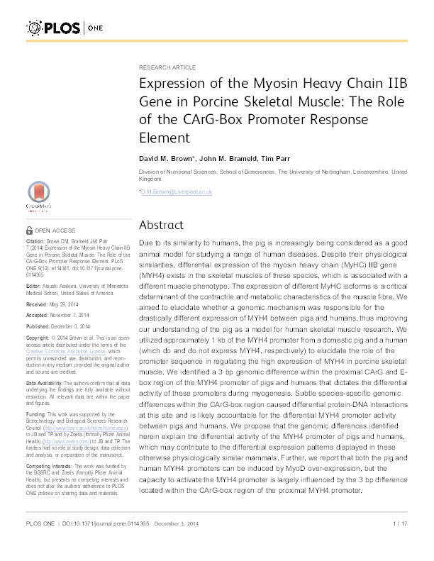 Expression of the myosin heavy chain IIB gene in porcine skeletal muscle: the role of the CArG-box promoter response element Thumbnail
