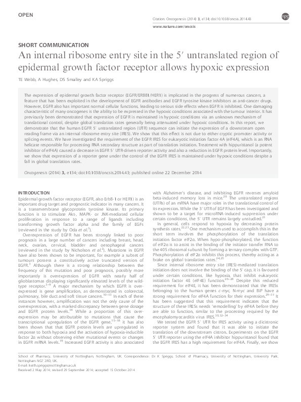 An internal ribosome entry site in the 5′ untranslated region of epidermal growth factor receptor allows hypoxic expression Thumbnail