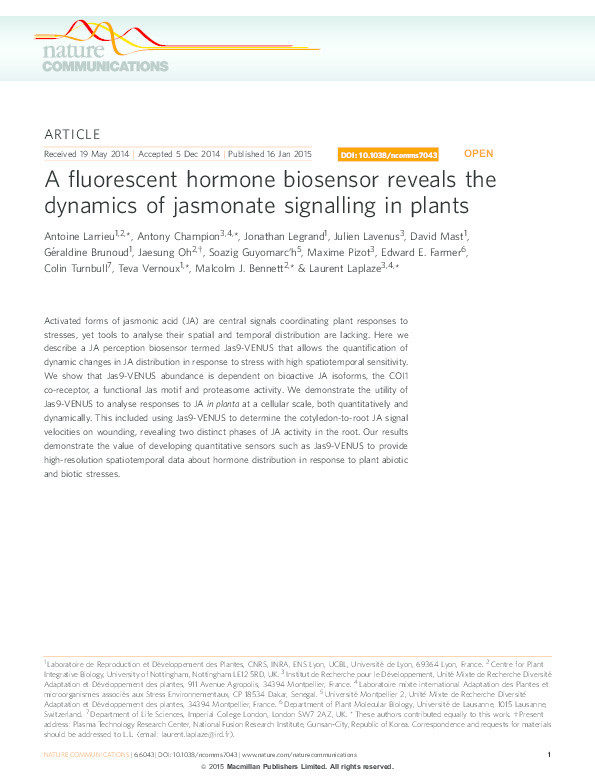A fluorescent hormone biosensor reveals the dynamics of jasmonate signalling in plants Thumbnail