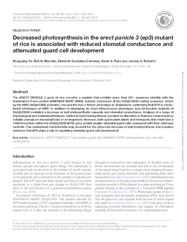 Decreased photosynthesis in the erect panicle 3 (ep3) mutant of rice is associated with reduced stomatal conductance and attenuated guard cell development Thumbnail