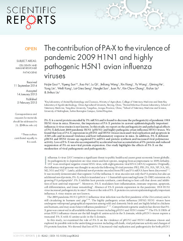 The contribution of PA-X to the virulence of pandemic 2009 H1N1 and highly pathogenic H5N1 avian influenza viruses Thumbnail