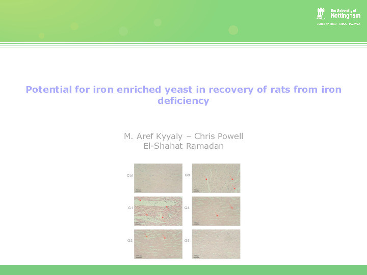 Potential for iron enriched yeast in recovery of rats from iron deficiency Thumbnail