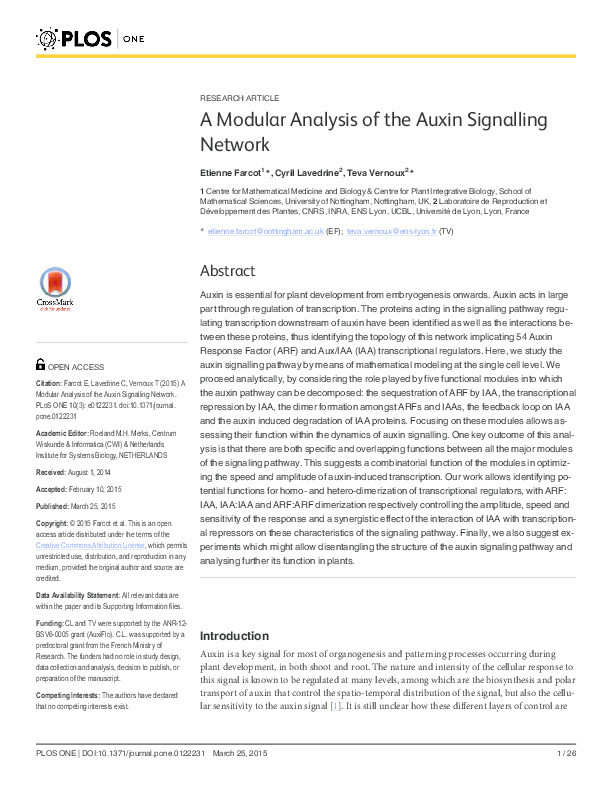A modular analysis of the Auxin signalling network Thumbnail