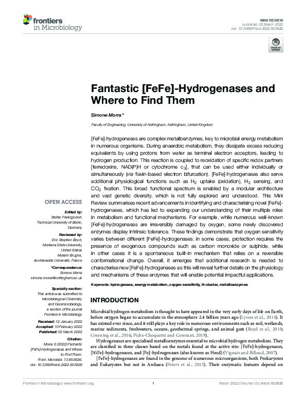 Fantastic [FeFe]-Hydrogenases and Where to Find Them Thumbnail