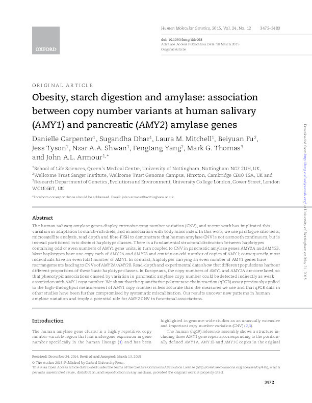 Obesity, starch digestion and amylase: association between copy number variants at human salivary (AMY1) and pancreatic (AMY2) amylase genes Thumbnail