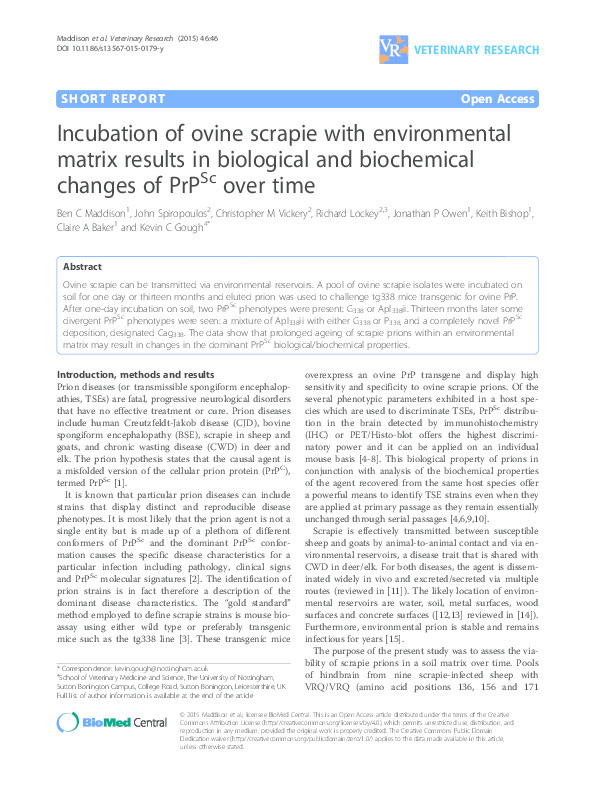 Incubation of ovine scrapie with environmental matrix results in biological and biochemical changes of PrPSc over time Thumbnail