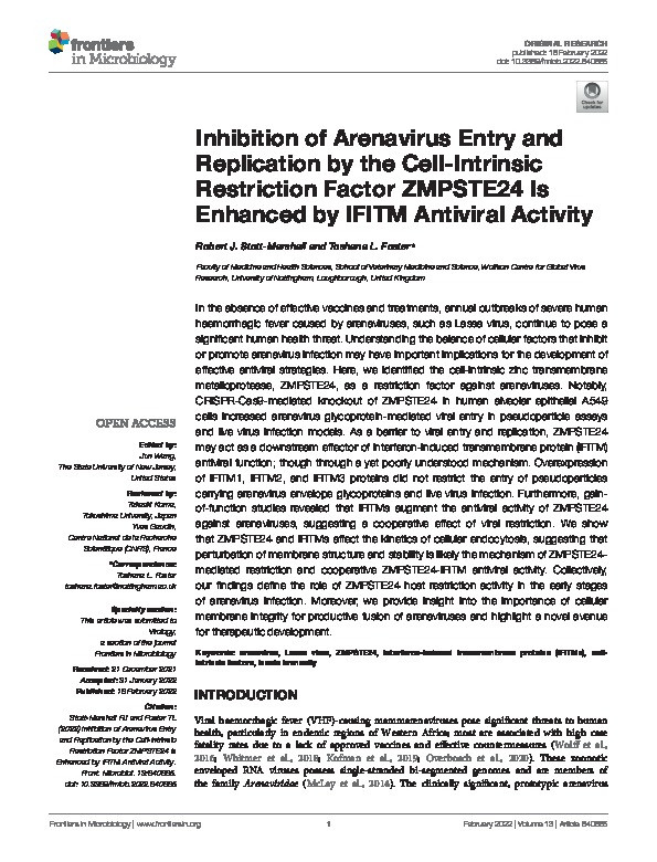 Inhibition of Arenavirus Entry and Replication by the Cell-Intrinsic Restriction Factor ZMPSTE24 Is Enhanced by IFITM Antiviral Activity Thumbnail