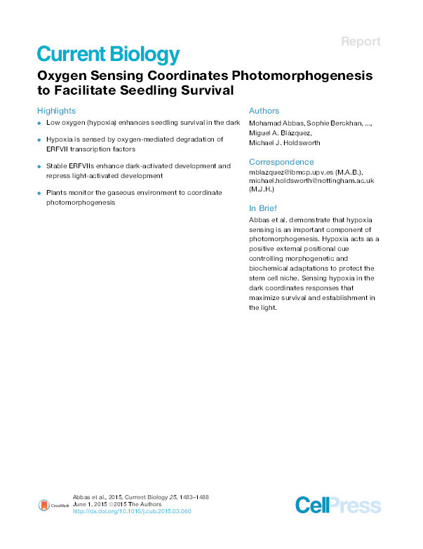 Oxygen Sensing Coordinates Photomorphogenesis to Facilitate Seedling Survival Thumbnail