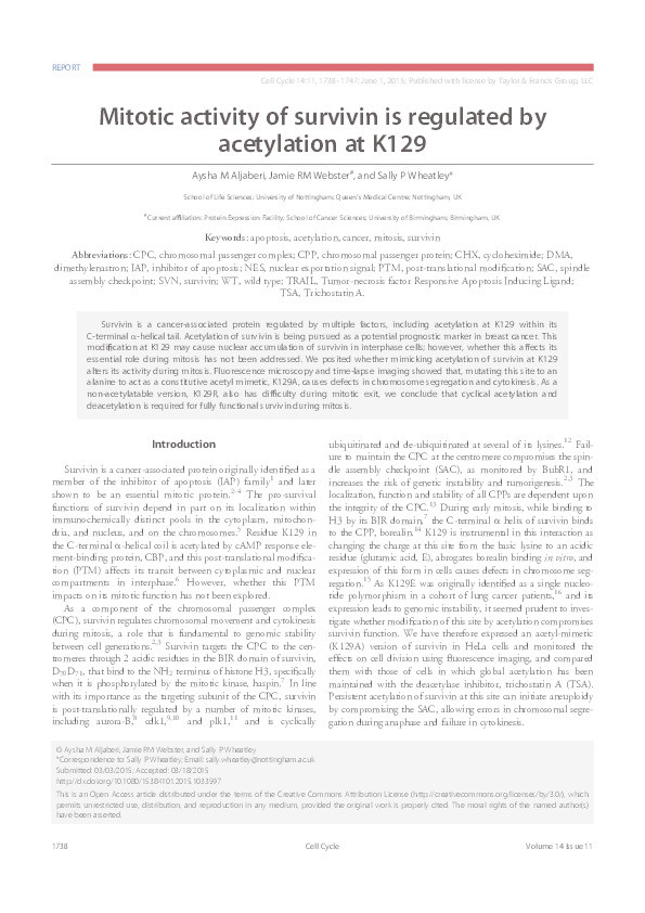 Mitotic activity of survivin is regulated by acetylation at K129 Thumbnail