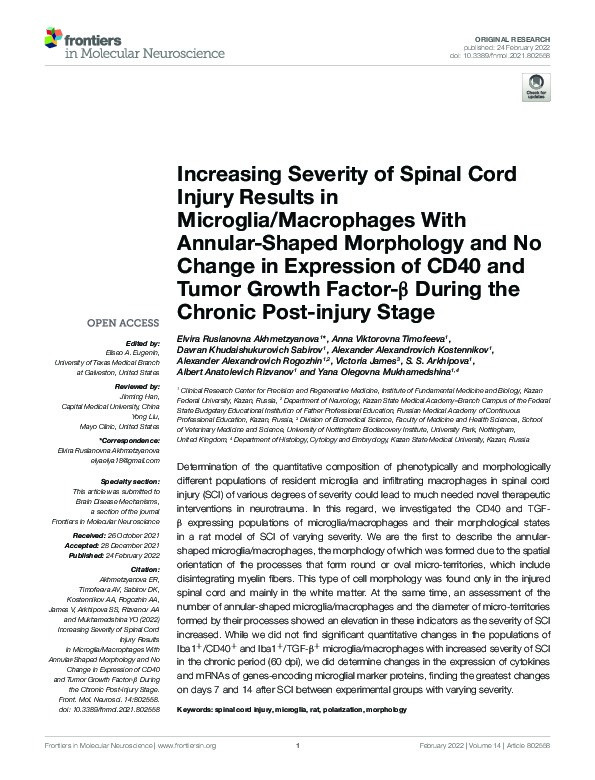 Increasing Severity of Spinal Cord Injury Results in Microglia/Macrophages With Annular-Shaped Morphology and No Change in Expression of CD40 and Tumor Growth Factor-β During the Chronic Post-injury Stage Thumbnail