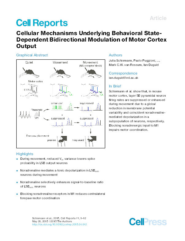 Cellular mechanisms underlying behavioral state-dependent bidirectional modulation of motor cortex output Thumbnail