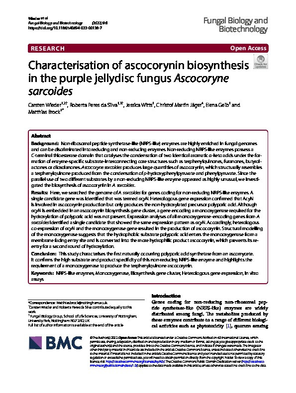 Characterisation of ascocorynin biosynthesis in the purple jellydisc fungus Ascocoryne sarcoides Thumbnail