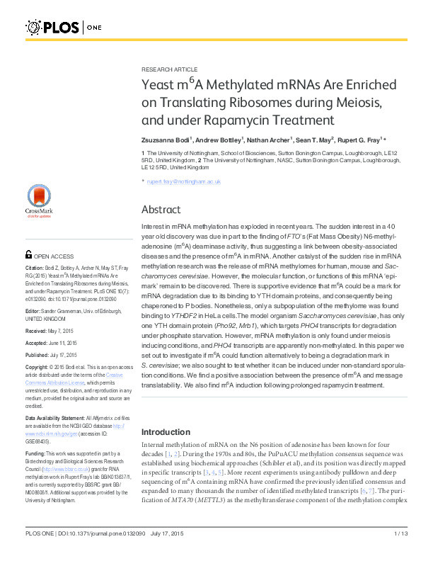 Yeast m6A Methylated mRNAs Are Enriched on Translating Ribosomes during Meiosis, and under Rapamycin Treatment Thumbnail