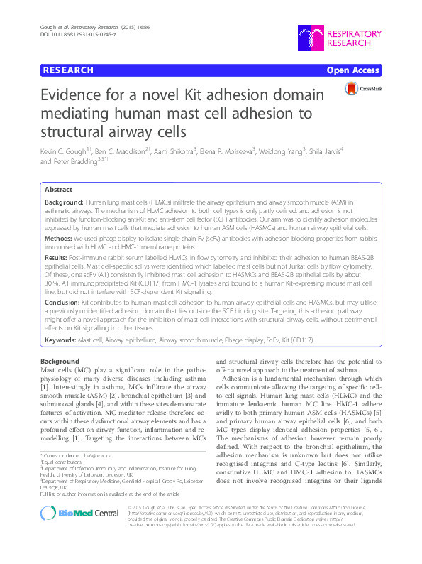 Evidence for a novel Kit adhesion domain mediating human mast cell adhesion to structural airway cells Thumbnail