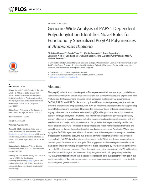 Genome-wide analysis of PAPS1-dependent polyadenylation identifies novel roles for functionally specialized poly(A) polymerases in Arabidopsis thaliana Thumbnail