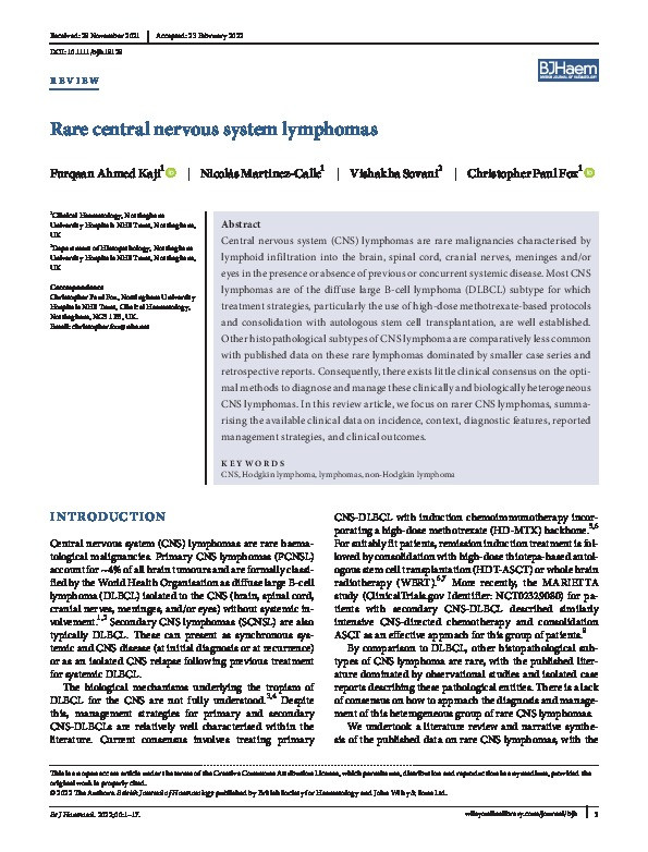 Rare central nervous system lymphomas Thumbnail