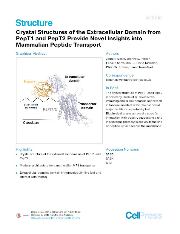 Crystal structures of the extracellular domain from PepT1 and PepT2 provide novel insights into mammalian pPeptide transport Thumbnail