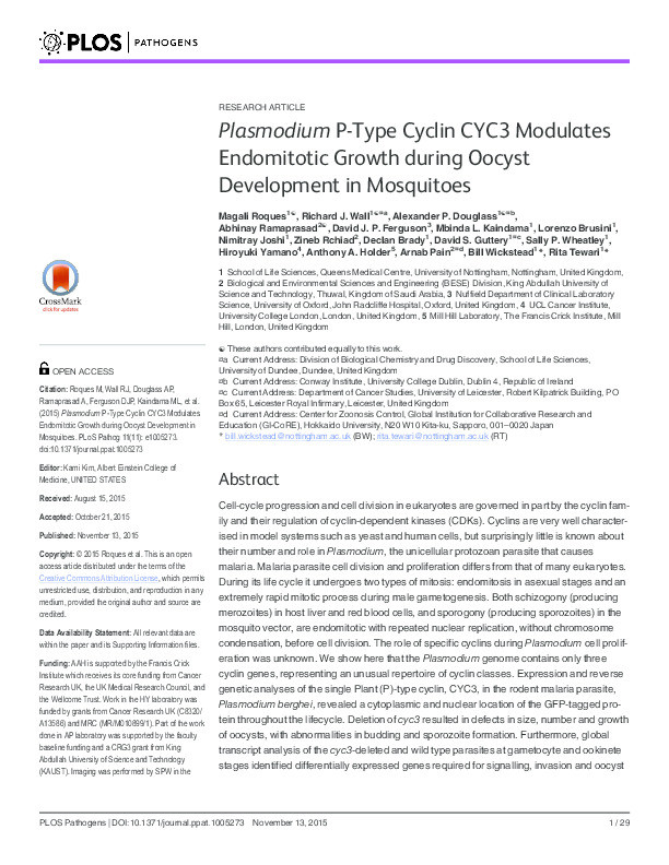 Plasmodium P-type cyclin CYC3 modulates endomitotic growth during oocyst development in mosquitoes Thumbnail