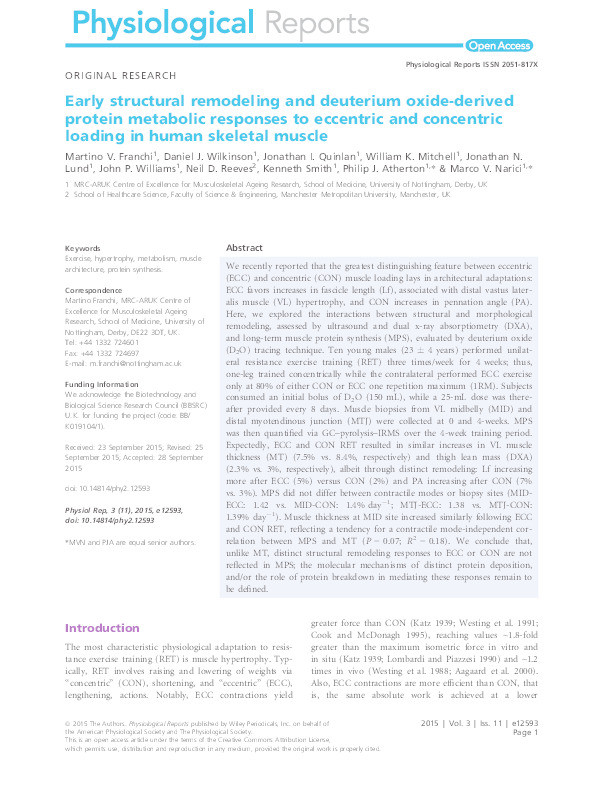 Early structural remodeling and deuterium oxide-derived protein metabolic responses to eccentric and concentric loading in human skeletal muscle Thumbnail