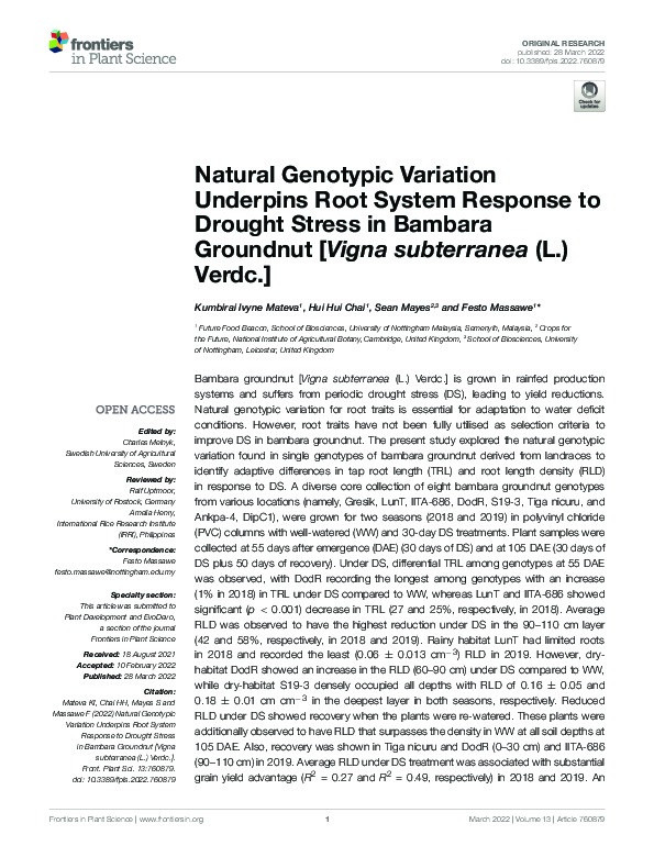 Natural Genotypic Variation Underpins Root System Response to Drought Stress in Bambara Groundnut [Vigna subterranea (L.) Verdc.] Thumbnail