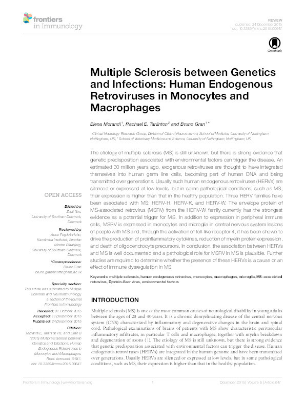 Multiple sclerosis between genetics and infections: human endogenous retroviruses in monocytes and macrophages Thumbnail