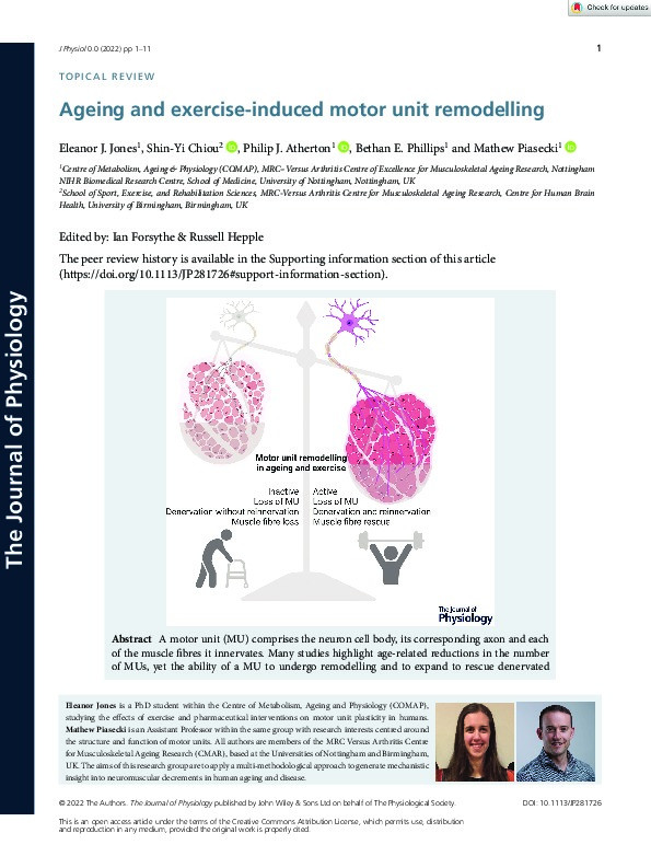 Ageing and exercise-induced motor unit remodelling Thumbnail