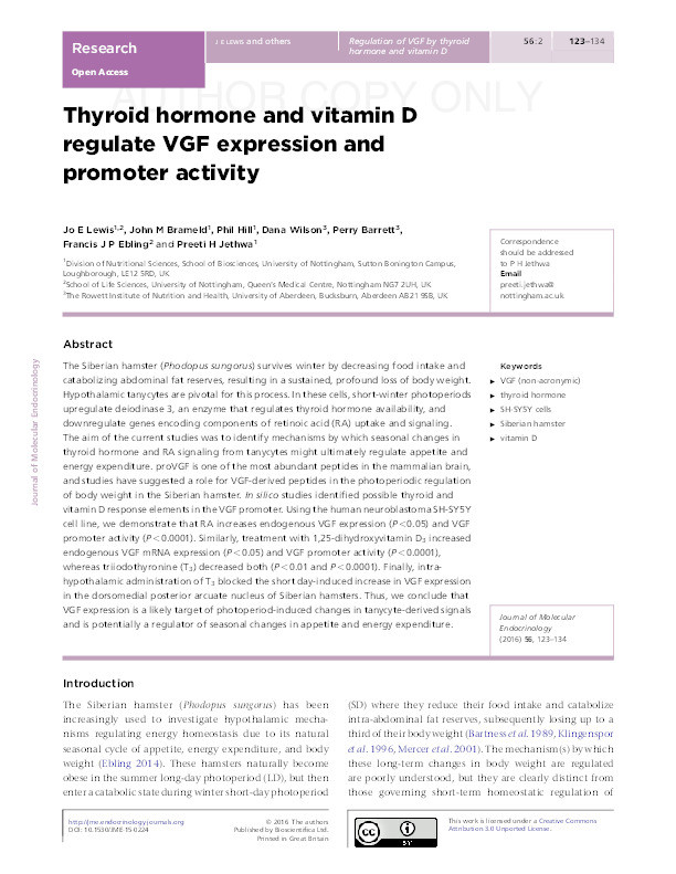 Thyroid hormone and vitamin D regulate VGF expression and promoter activity Thumbnail