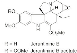 In vitro anticancer properties and biological evaluation of novel natural alkaloid jerantinine B Thumbnail