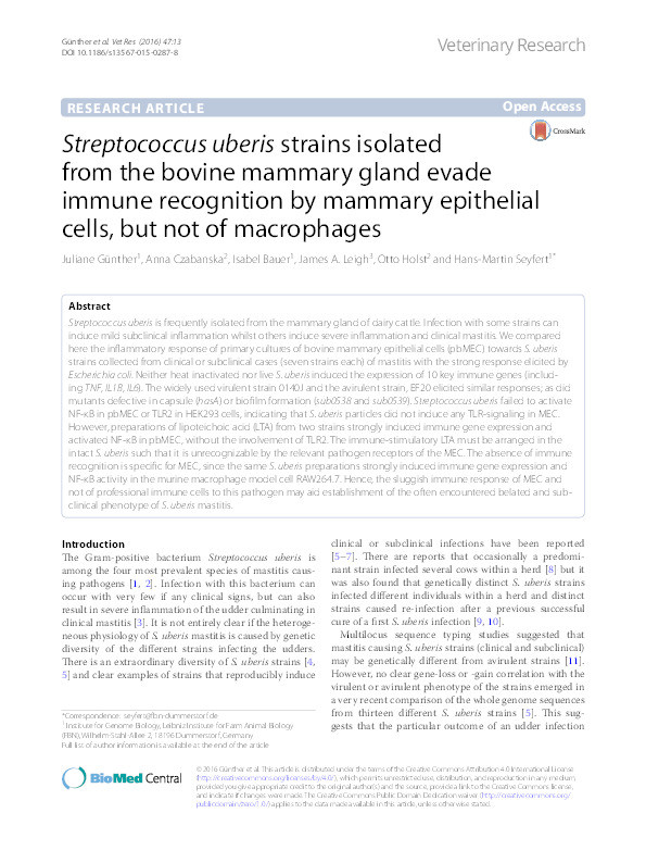 Streptococcus uberis strains isolated from the bovine mammary gland evade immune recognition by mammary epithelial cells, but not of macrophages Thumbnail