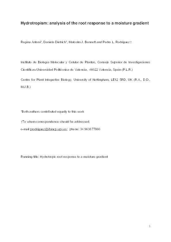 Hydrotropism: analysis of the root response to a moisture gradient Thumbnail