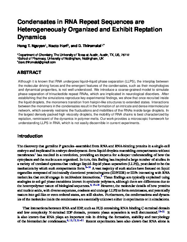 Condensates in RNA repeat sequences are heterogeneously organized and exhibit reptation dynamics Thumbnail