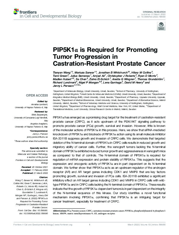 PIP5K1α is Required for Promoting Tumor Progression in Castration-Resistant Prostate Cancer Thumbnail