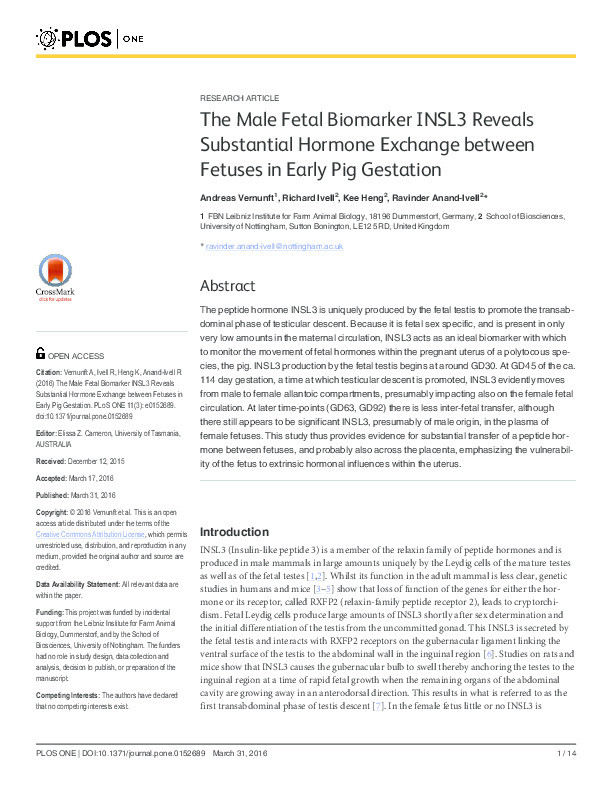 The male fetal biomarker INSL3 reveals substantial hormone exchange between fetuses in early pig gestation Thumbnail
