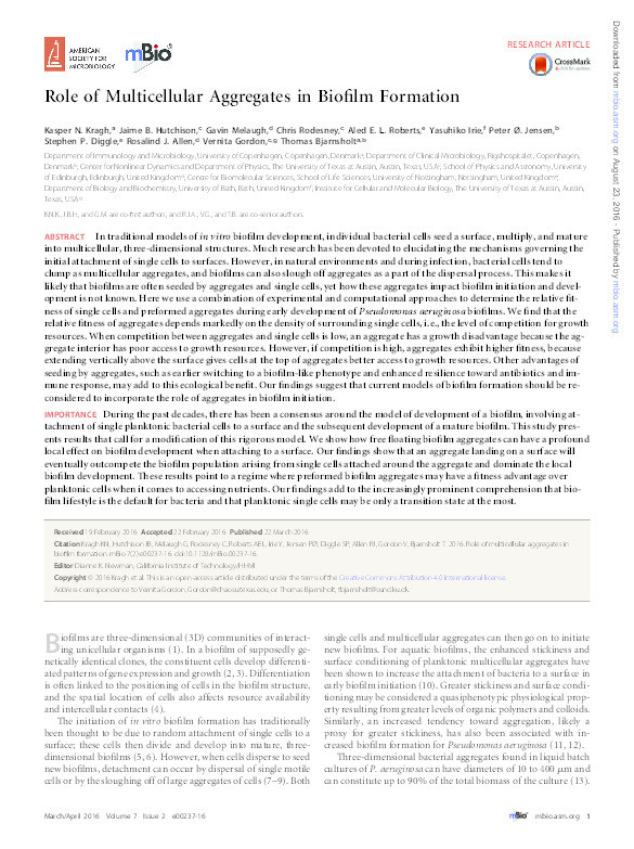 Role of multicellular aggregates in biofilm formation Thumbnail