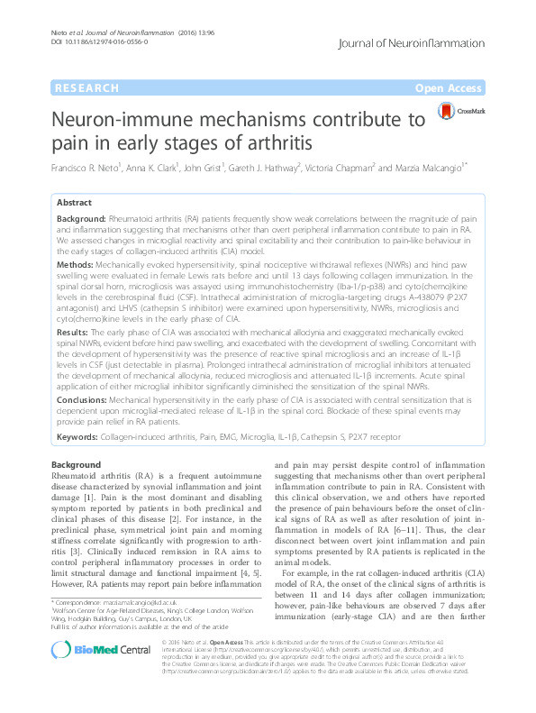 Neuron-immune mechanisms contribute to pain in early stages of arthritis Thumbnail