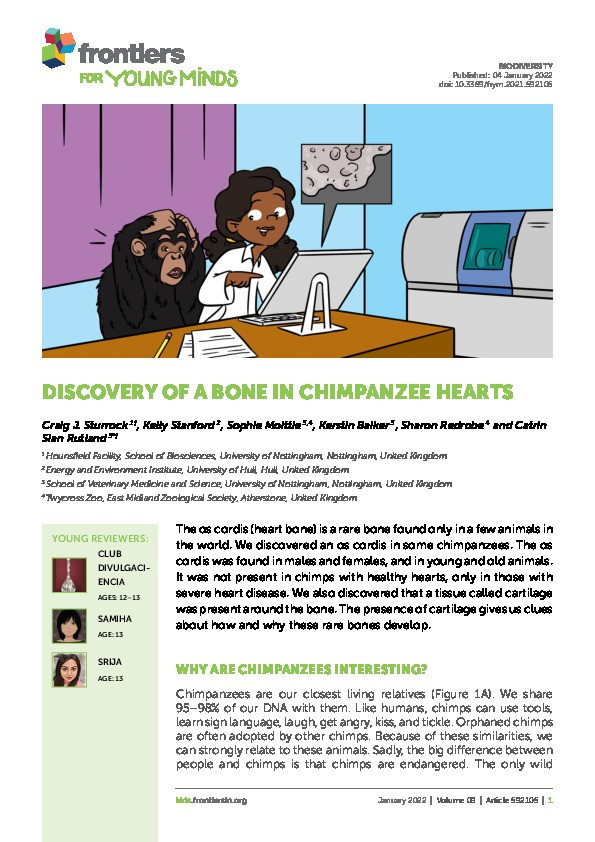 Discovery Of A Bone In Chimpanzee Hearts Thumbnail