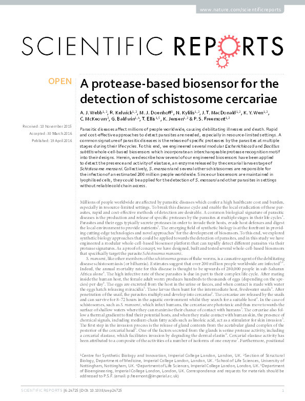 A protease-based biosensor for the detection of schistosome cercariae Thumbnail