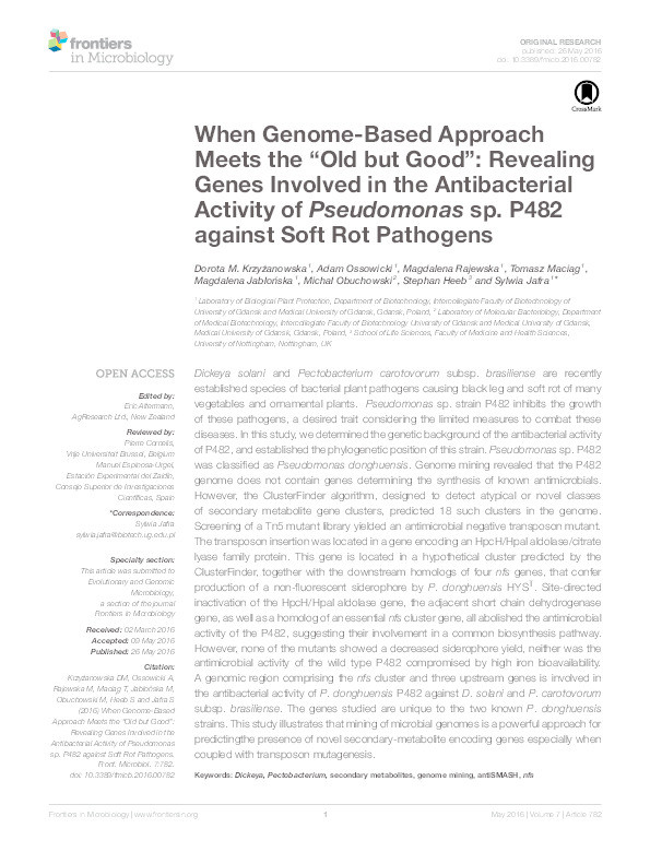 When genome-based approach meets the “Old but Good”: revealing genes involved in the antibacterial activity of Pseudomonas sp. P482 against soft rot pathogens Thumbnail