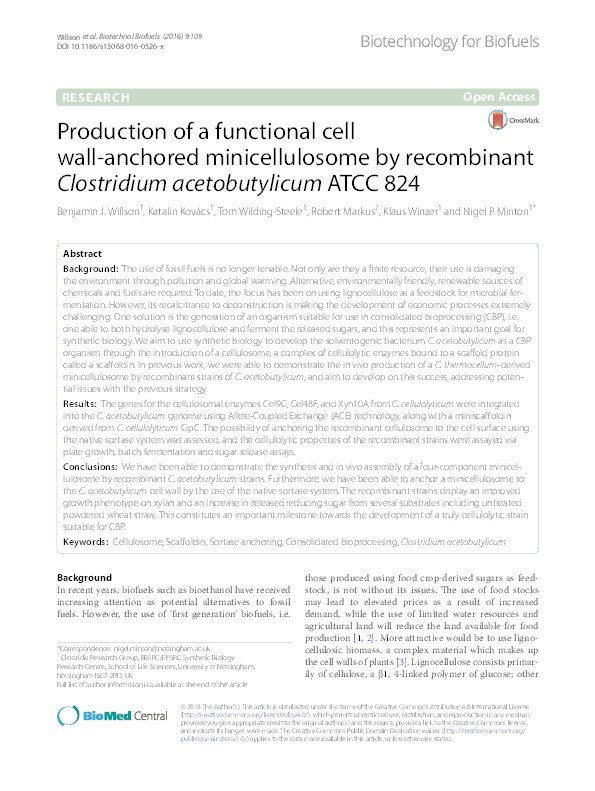 Production of a functional cell wall-anchored minicellulosome by recombinant Clostridium acetobutylicum ATCC 824 Thumbnail