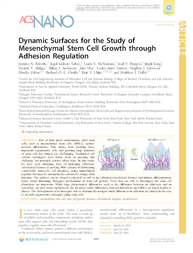 Dynamic surfaces for the study Of mesenchymal stem cell growth through adhesion regulation Thumbnail