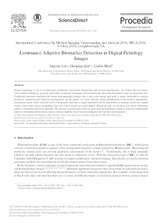 Luminance adaptive biomarker detection in digital pathology images Thumbnail