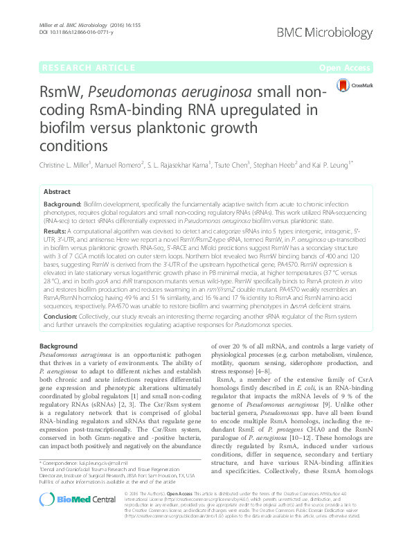 RsmW, Pseudomonas aeruginosa small non-coding RsmA-binding RNA upregulated in biofilm versus planktonic growth conditions Thumbnail