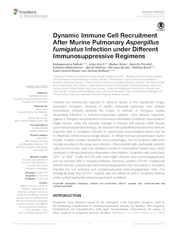 Dynamic immune cell recruitment after murine pulmonary Aspergillus fumigatus infection under different immunosuppressive regimens Thumbnail