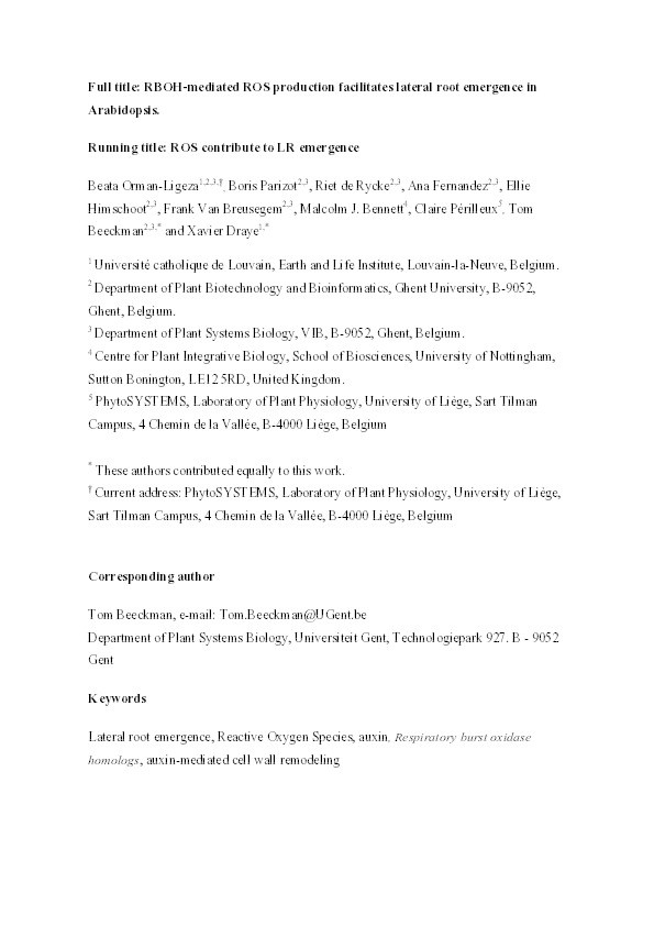 RBOH-mediated ROS production facilitates lateral root emergence in Arabidopsis Thumbnail