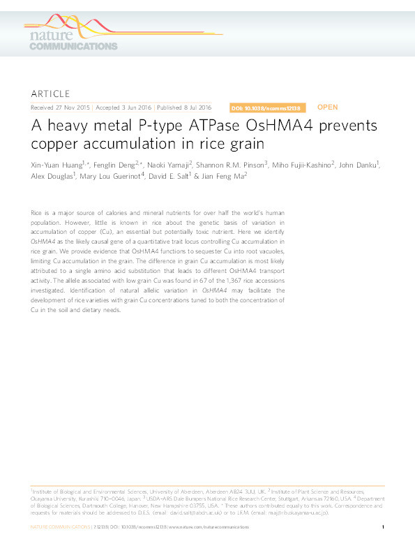 A heavy metal P-type ATPase OsHMA4 prevents copper accumulation in rice grain Thumbnail