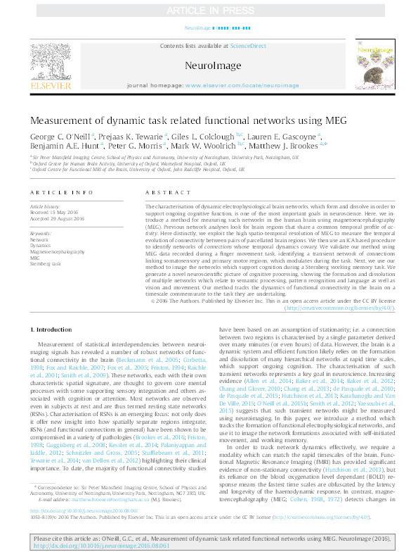 Measurement of dynamic task related functional networks using MEG Thumbnail