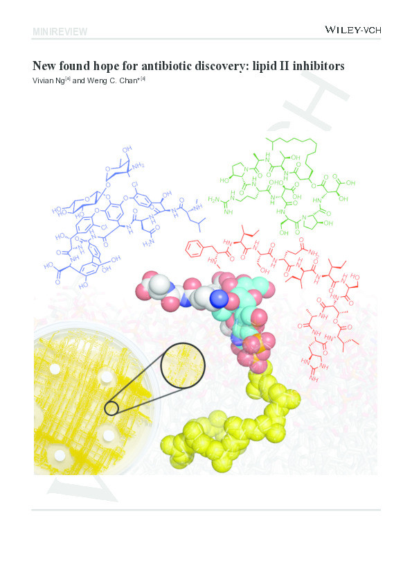 New Found Hope for Antibiotic Discovery: Lipid II Inhibitors Thumbnail