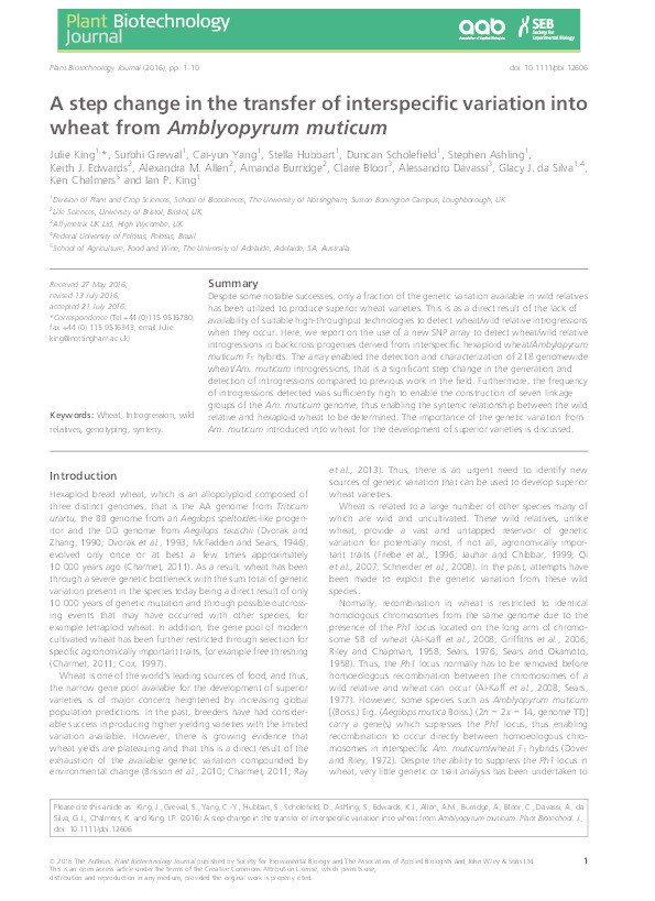 A step change in the transfer of interspecific variation into wheat from Amblyopyrum muticum Thumbnail